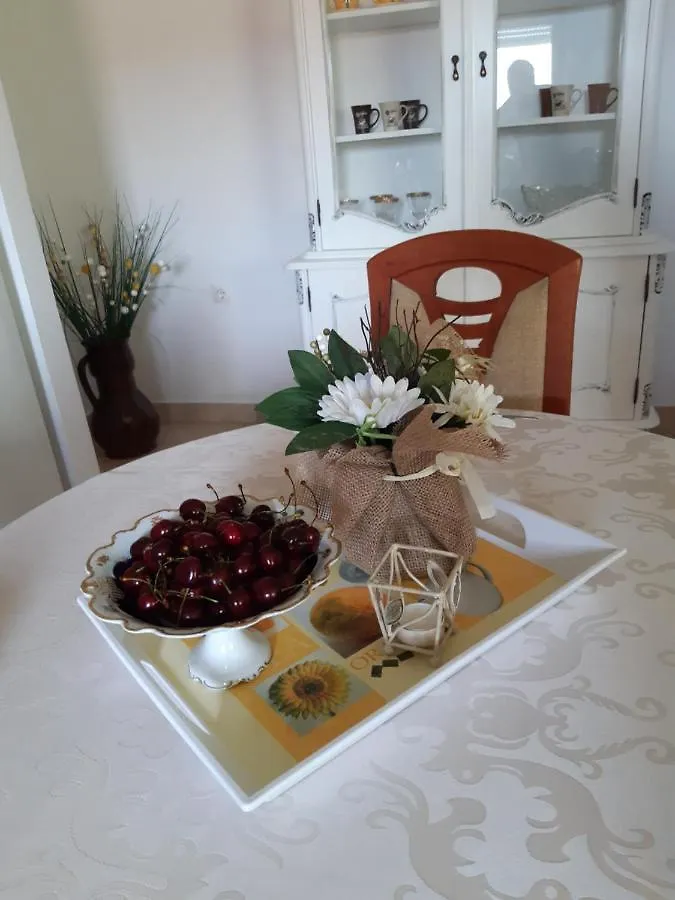 Dom wakacyjny Apartment Jardin With Free Cowered Parking Zadar Chorwacja